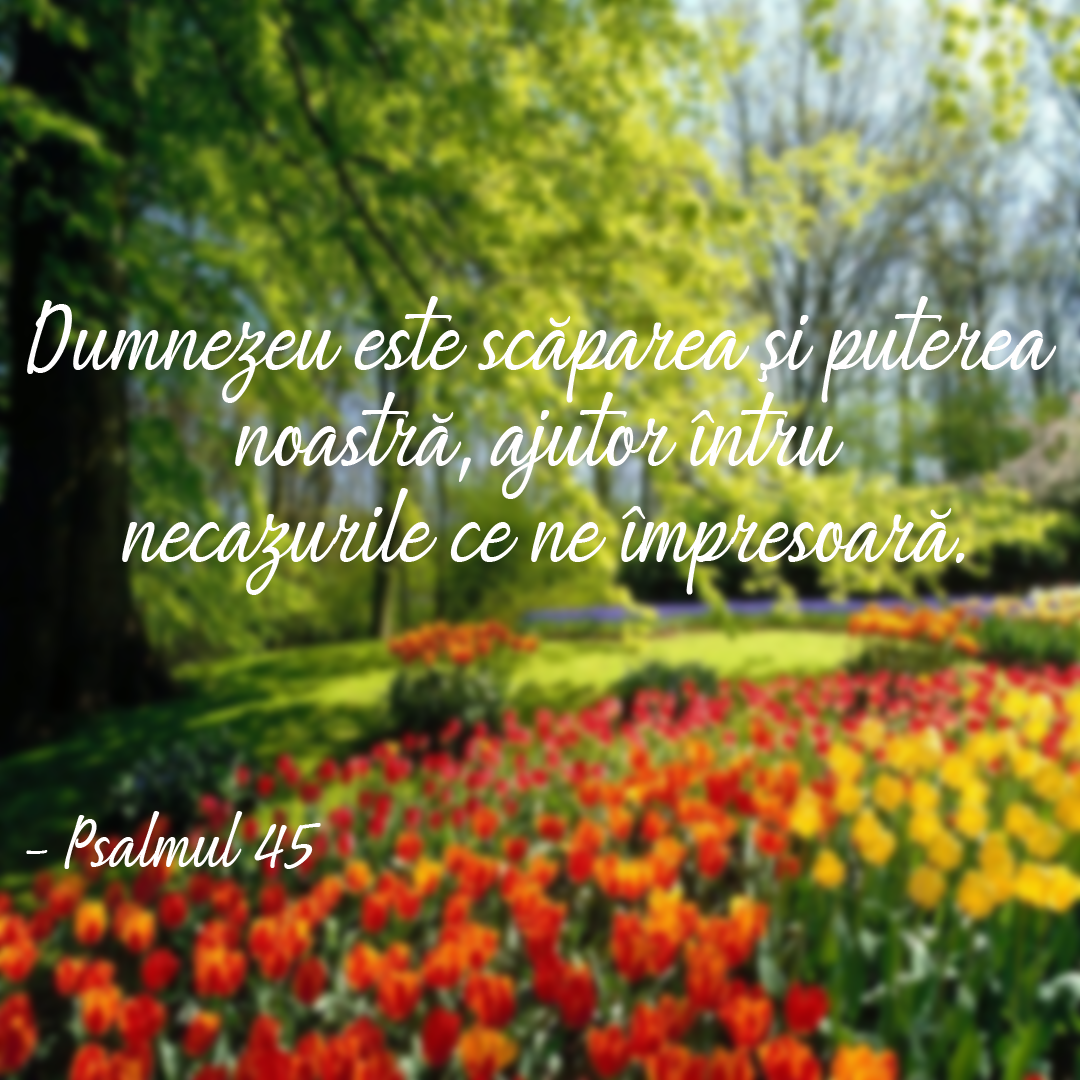 Psalmul 45
